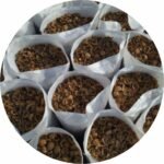 Cáscara de Nuez entera 45L